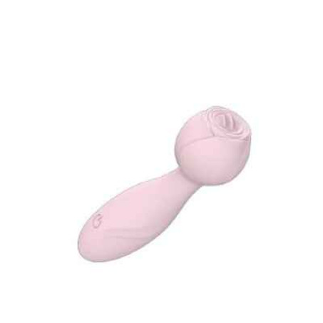 Blushing Pleasure Mini Rose Vibrator